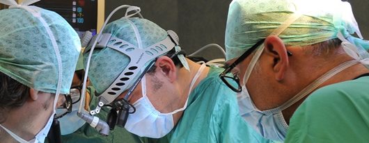 Nuove tecniche per le patologie valvolari, la cardiochirurgia GVM all’Imperial College di Londra